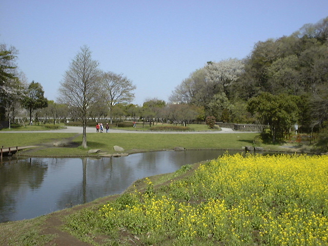 新林公園