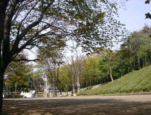 円行公園の多目的広場の写真です。