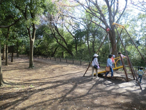 大庭城址公園の冒険広場の写真です。