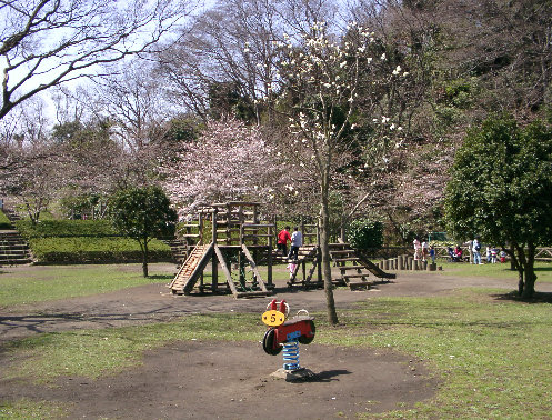 新林公園の冒険広場の写真です。