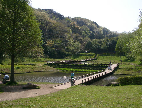 新林公園の湿性植物区の写真です。