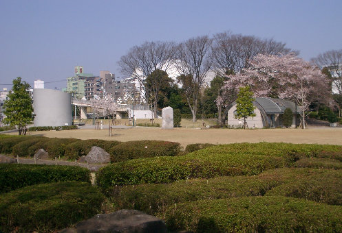 芝生広場の写真です