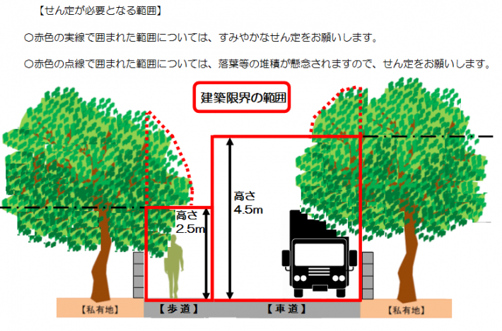 越境樹木図